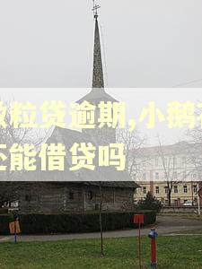 微粒贷逾期,小鹅花还能借贷吗