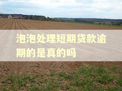 泡泡处理短期贷款逾期的是真的吗