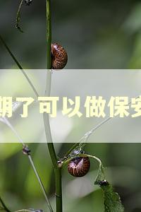逾期了可以做保安吗