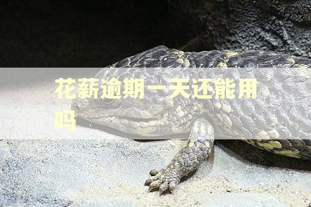 花薪逾期一天还能用吗 花薪逾期一天还能用吗