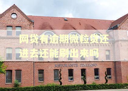 网贷有逾期微粒贷还进去还能刷出来吗
