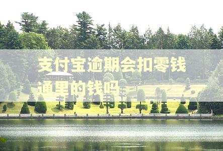 支付宝逾期会扣零钱通里的钱吗