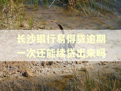 长沙银行易得贷逾期一次还能续贷出来吗