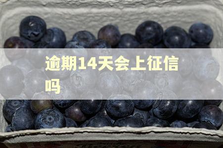 逾期14天会上征信吗