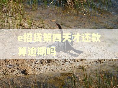 e招贷第四天才还款算逾期吗