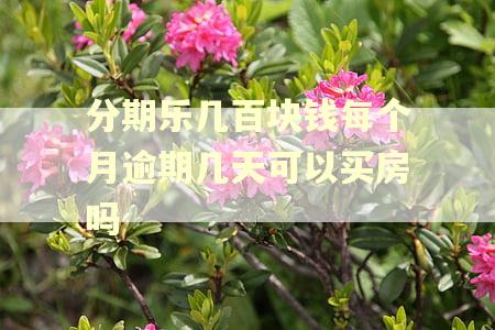分期乐几百块钱每个月逾期几天可以买房吗