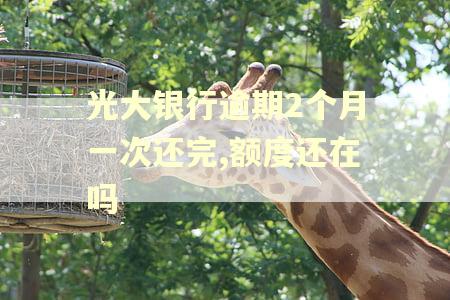 光大银行逾期2个月一次还完,额度还在吗