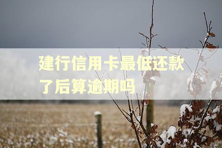 建行信用卡最低还款了后算逾期吗