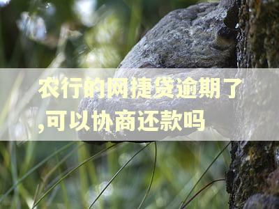 农行的网捷贷逾期了,可以协商还款吗