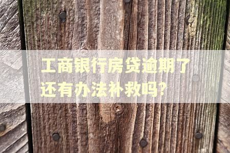 工商银行房贷逾期了还有办法补救吗?