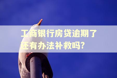 工商银行房贷逾期了还有办法补救吗?