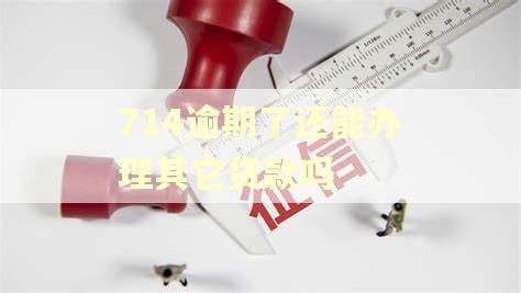 714逾期了还能办理其它贷款吗