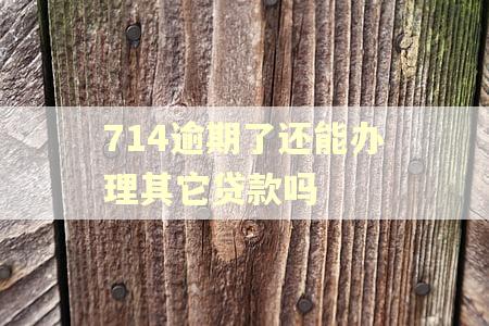 714逾期了还能办理其它贷款吗