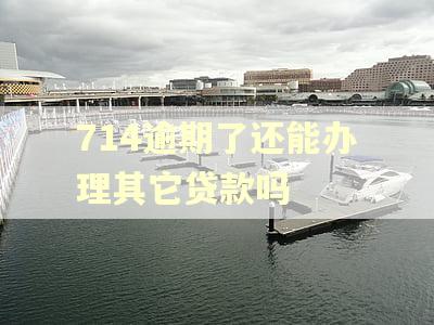 714逾期了还能办理其它贷款吗 714逾期了还能办理其它贷款吗
