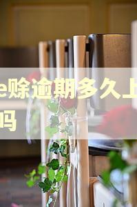 诚e赊逾期多久上征信吗