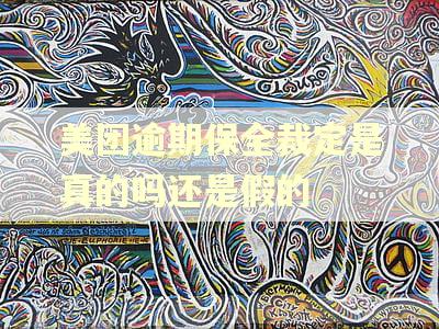 美团逾期保全裁定是真的吗还是假的