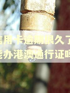 信用卡逾期很久了,能办港澳通行证吗