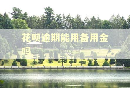 花呗逾期能用备用金吗