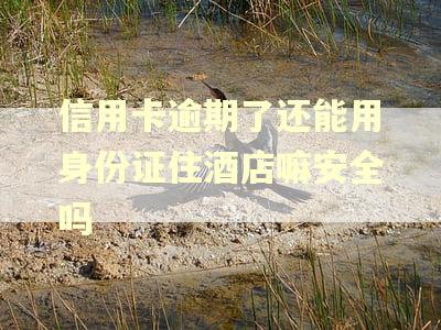 信用卡逾期了还能用身份证住酒店嘛安全吗