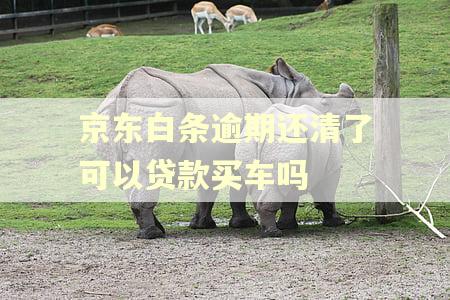 京东白条逾期还清了可以贷款买车吗