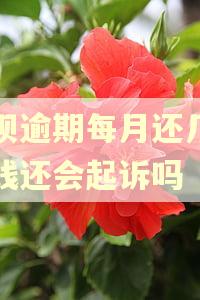 花呗逾期每月还几百块钱还会起诉吗