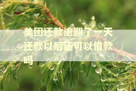 美团还款逾期了一天还款以后还可以借款吗