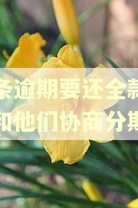 白条逾期要还全款可以和他们协商分期吗