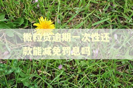 微粒贷逾期一次性还款能减免罚息吗