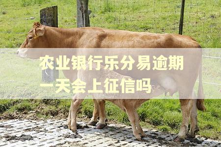 农业银行乐分易逾期一天会上征信吗