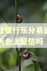 农业银行乐分易逾期一天会上征信吗