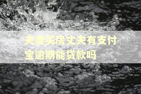 夫妻买房丈夫有支付宝逾期能贷款吗