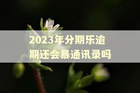 2023年分期乐逾期还会暴通讯录吗