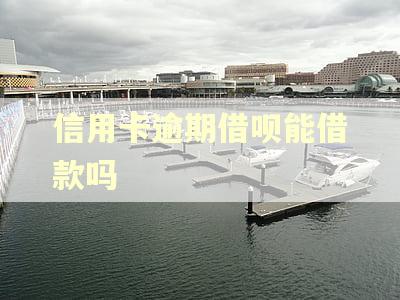 信用卡逾期借呗能借款吗