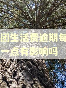 美团生活费逾期每月还一点有影响吗