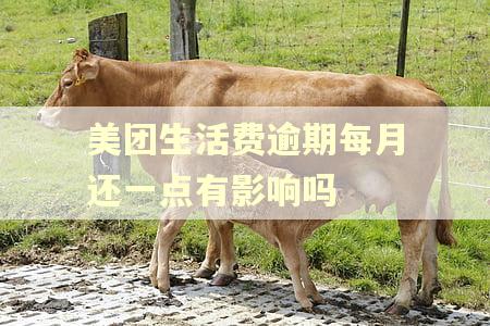 美团生活费逾期每月还一点有影响吗 美团生活费逾期每月还一点有影响吗