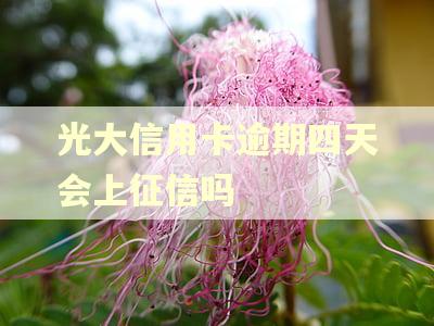 光大信用卡逾期四天会上征信吗