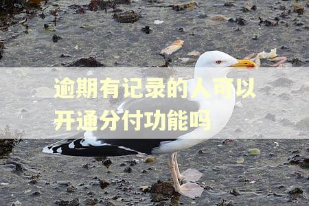 逾期有记录的人可以开通分付功能吗 逾期有记录的人可以开通分付功能吗