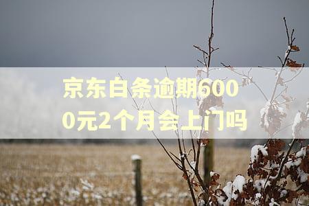 京东白条逾期6000元2个月会上门吗