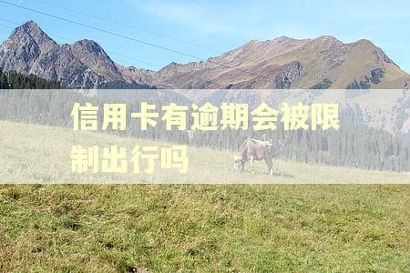 信用卡有逾期会被限制出行吗