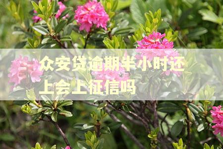 众安贷逾期半小时还上会上征信吗