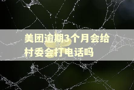 美团逾期3个月会给村委会打电话吗