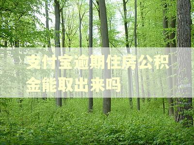 支付宝逾期住房公积金能取出来吗