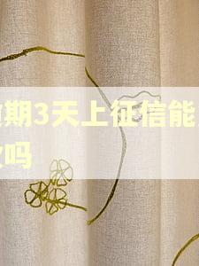 逾期3天上征信能贷款吗