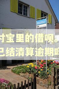 支付宝里的借呗。逾期已结清算逾期吗