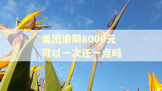 美团逾期8000元可以一次还一点吗