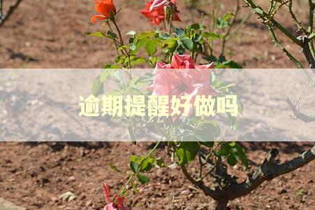 逾期提醒好做吗