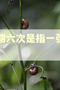 逾期六次是指一张卡吗