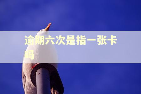 逾期六次是指一张卡吗