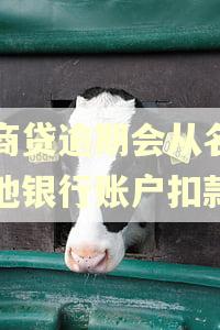 网商贷逾期会从名下其他银行账户扣款吗