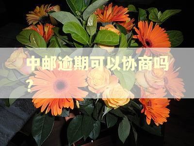 中邮逾期可以协商吗?